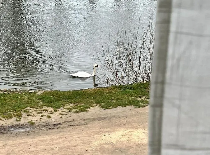 Sur Le Loing